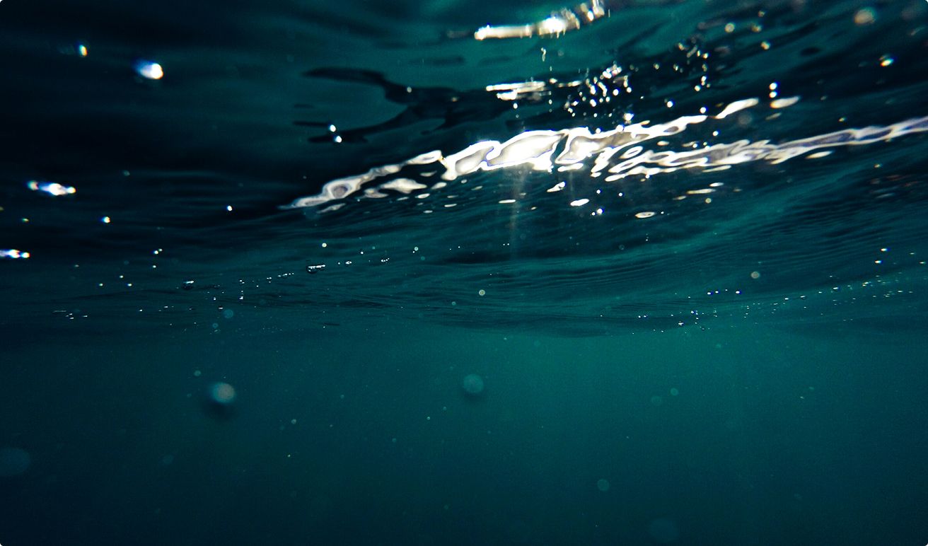 Free The Sea opens new Material Recovery Facility